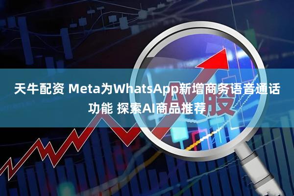 天牛配资 Meta为WhatsApp新增商务语音通话功能 探索AI商品推荐