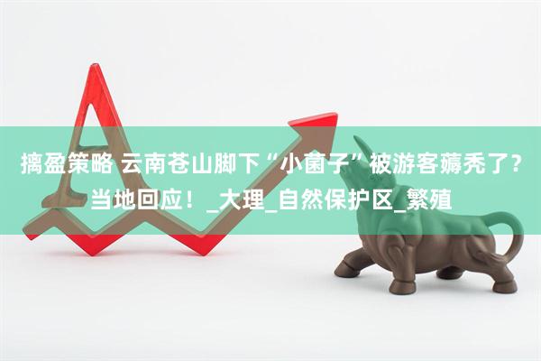 摛盈策略 云南苍山脚下“小菌子”被游客薅秃了？当地回应！_大理_自然保护区_繁殖