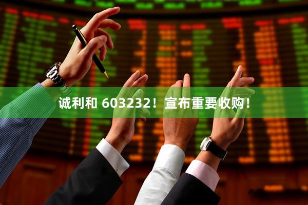 诚利和 603232！宣布重要收购！