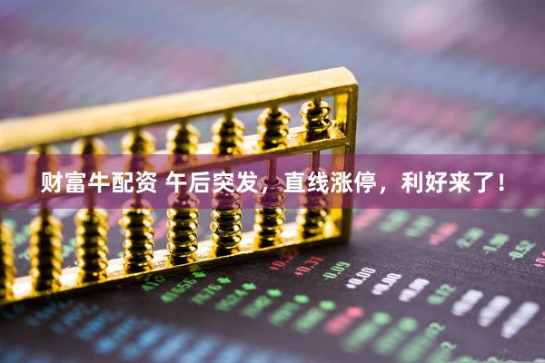 财富牛配资 午后突发，直线涨停，利好来了！