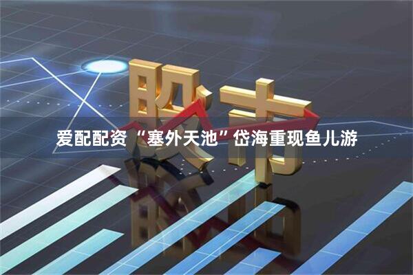 爱配配资 “塞外天池”岱海重现鱼儿游