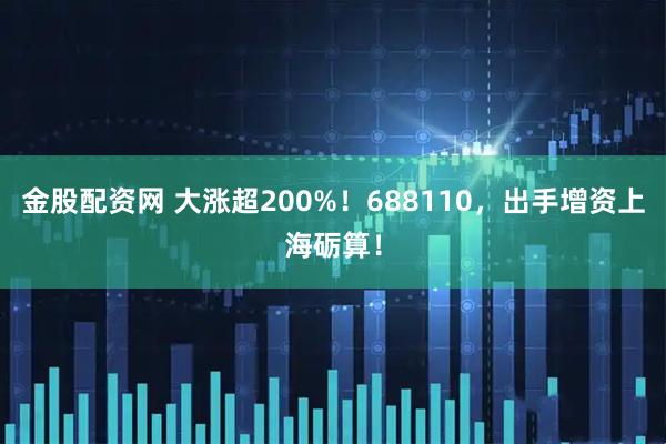 金股配资网 大涨超200%！688110，出手增资上海砺算！