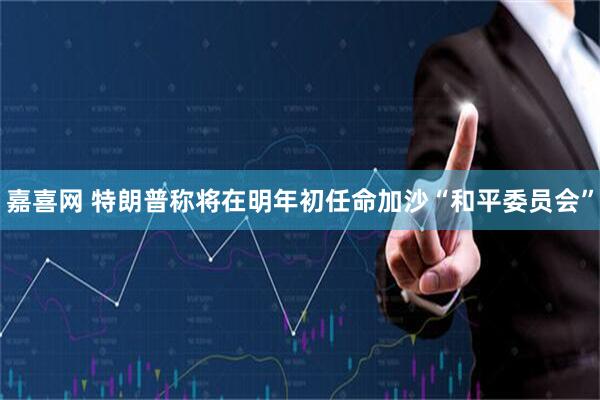 嘉喜网 特朗普称将在明年初任命加沙“和平委员会”